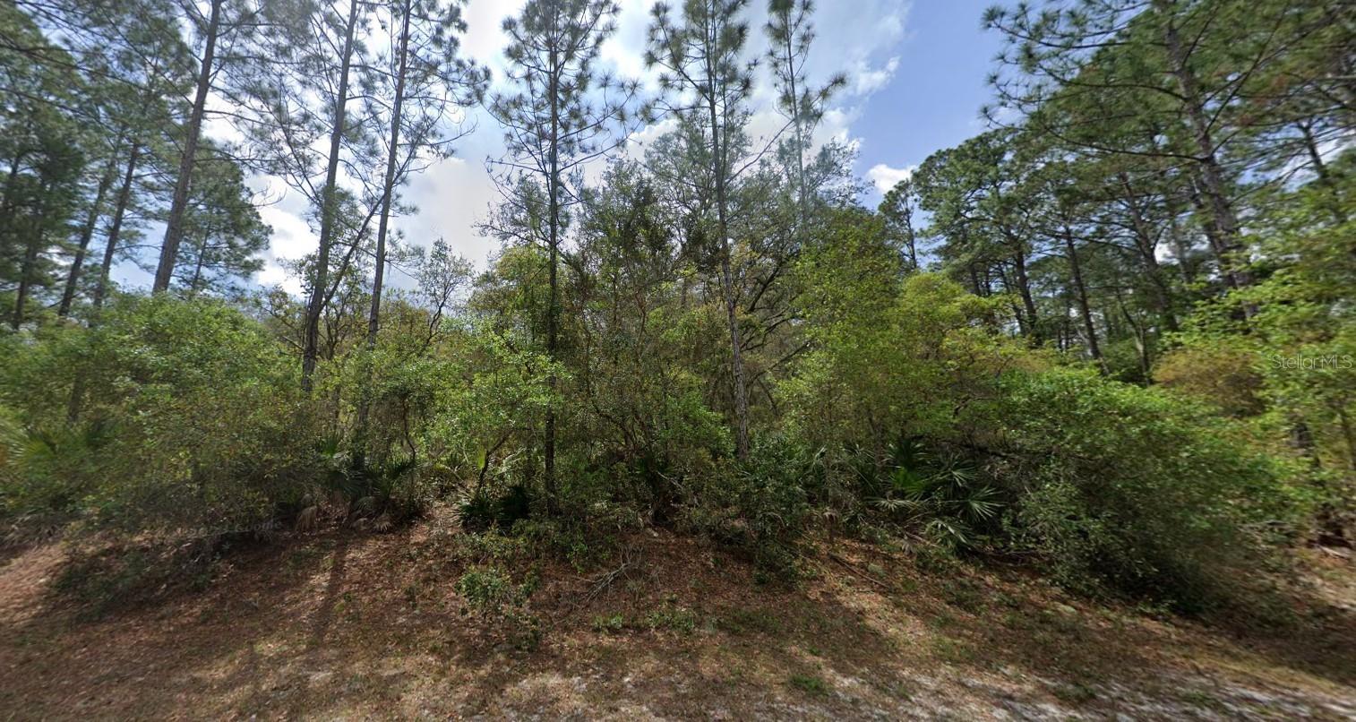 Image 8 of 8 For 119 Gardenia Avenue