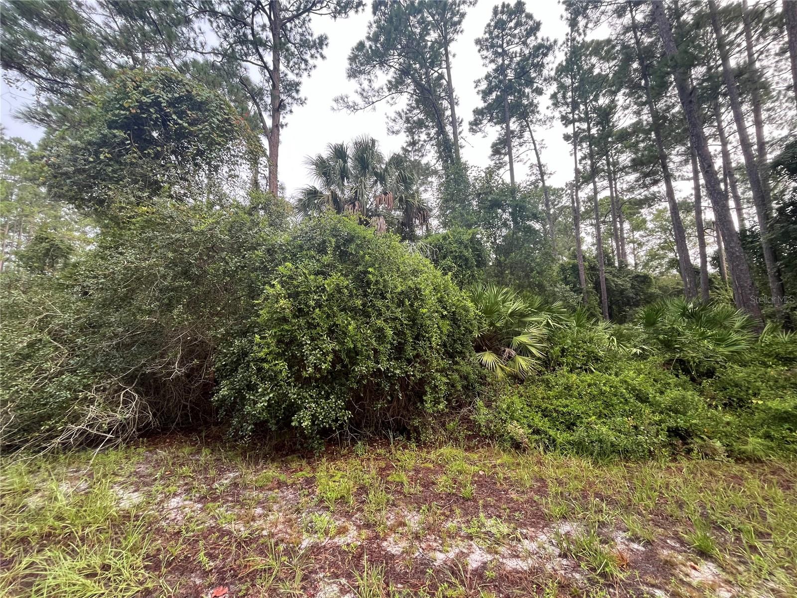 Image 2 of 5 For 120 Gardenia Avenue