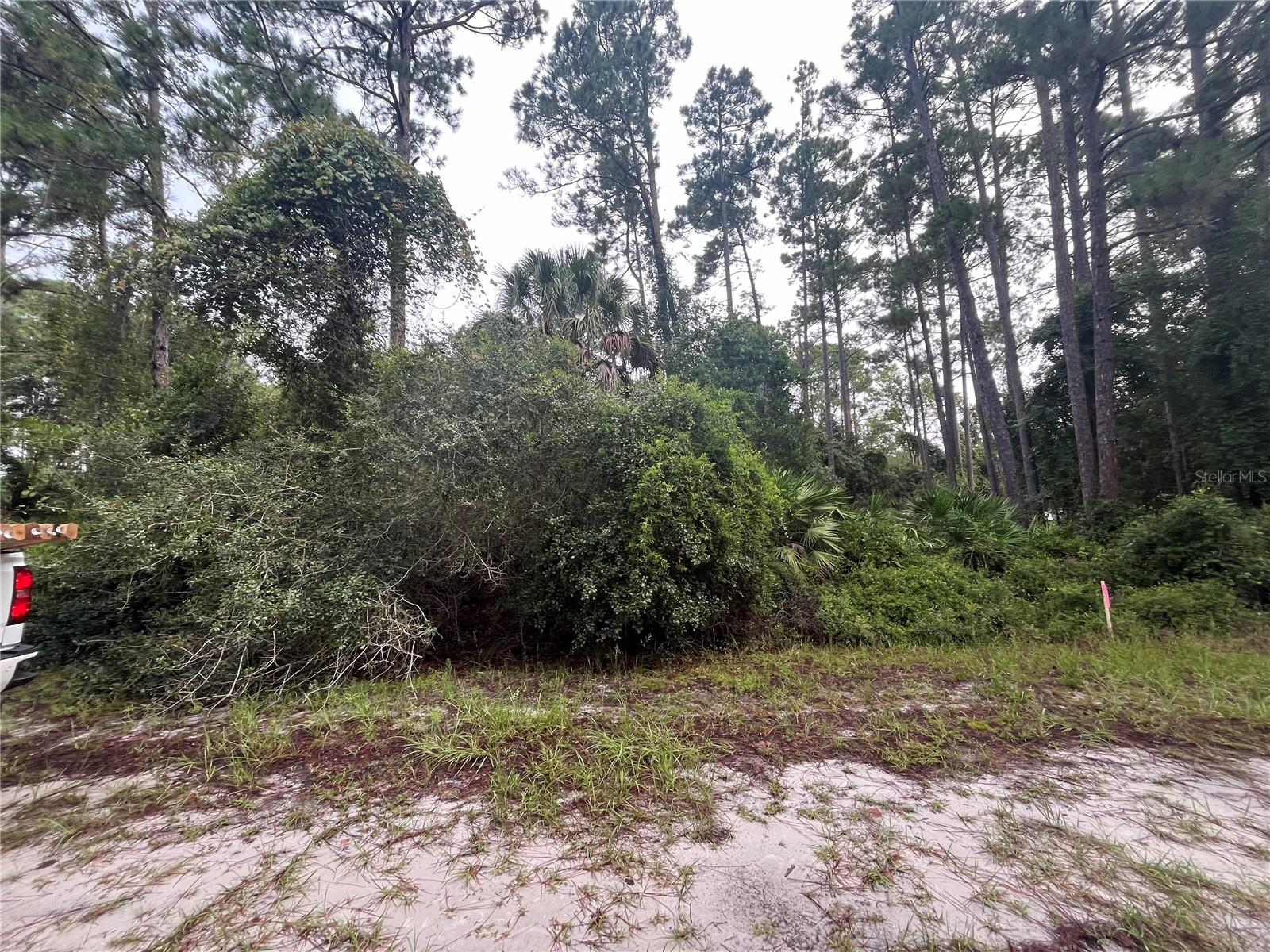 Image 4 of 5 For 120 Gardenia Avenue