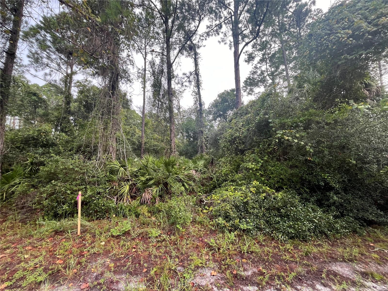 Image 5 of 5 For 120 Gardenia Avenue