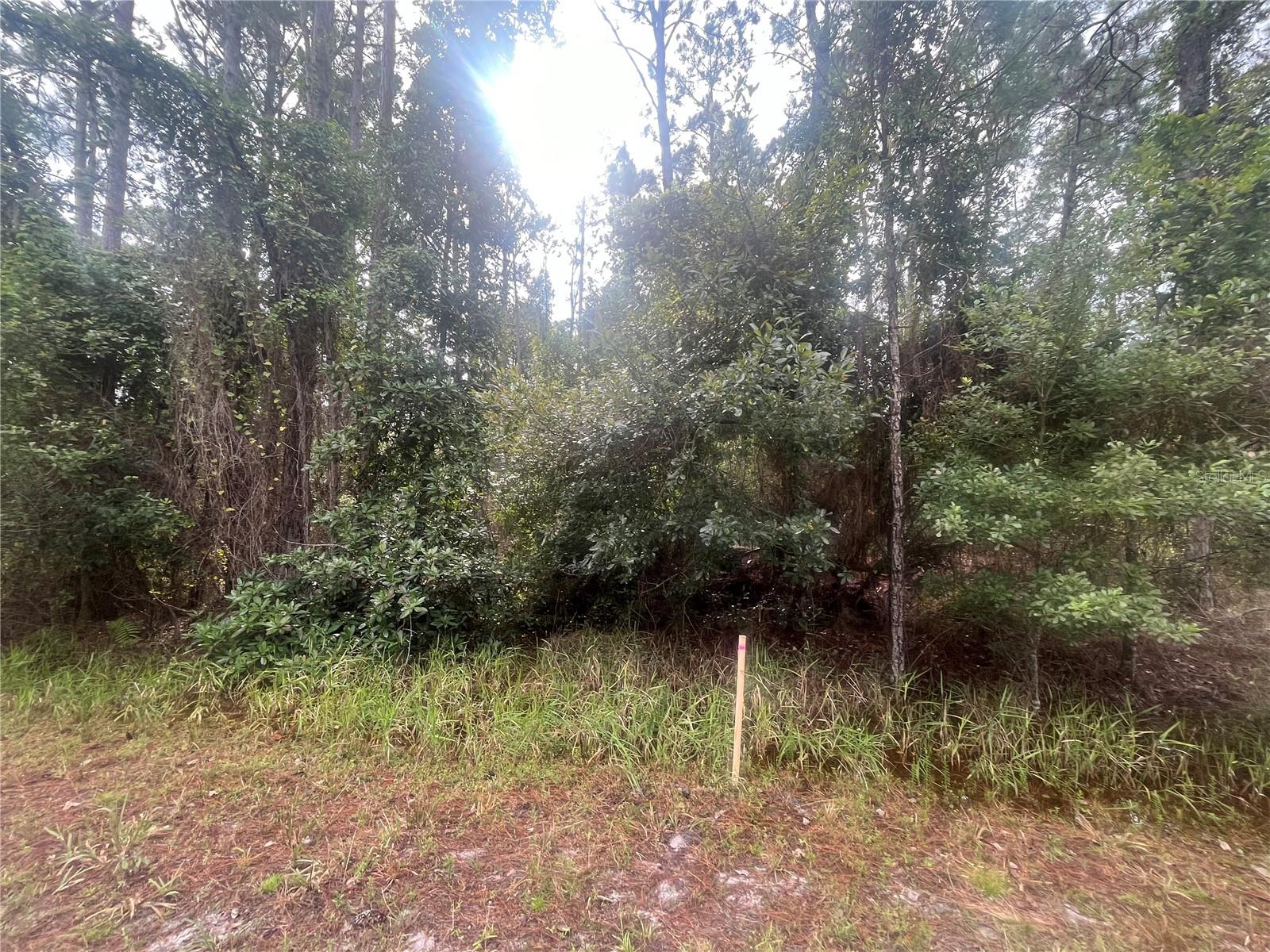 Image 7 of 7 For 223 2nd Street