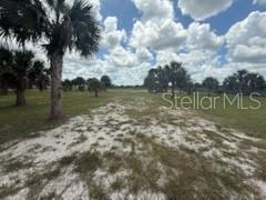 Image 21 of 47 For 19374 302nd Street