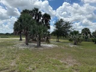 Image 40 of 47 For 19374 302nd Street