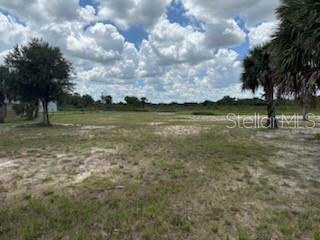 Image 41 of 47 For 19374 302nd Street