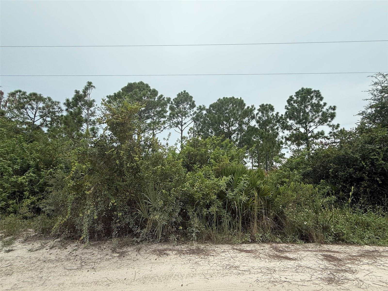 Image 12 of 20 For 8057 Austrian Boulevard