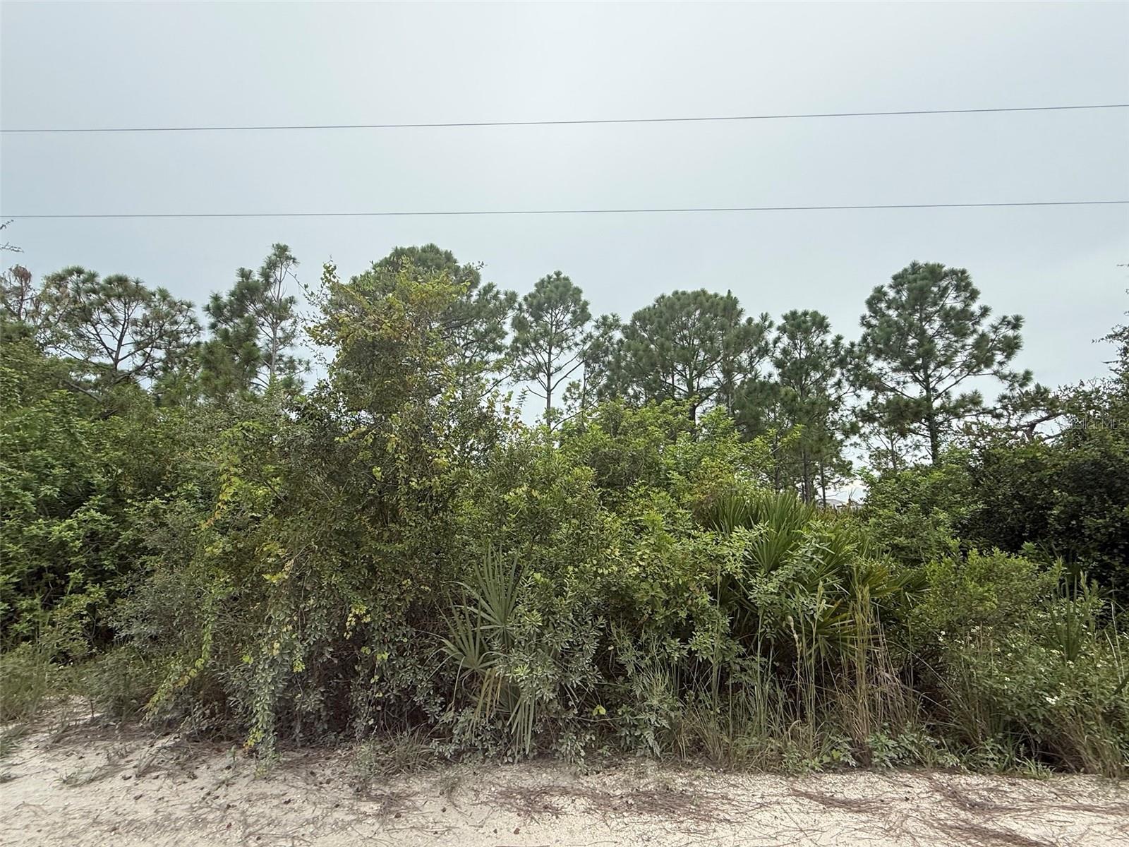 Image 14 of 20 For 8057 Austrian Boulevard