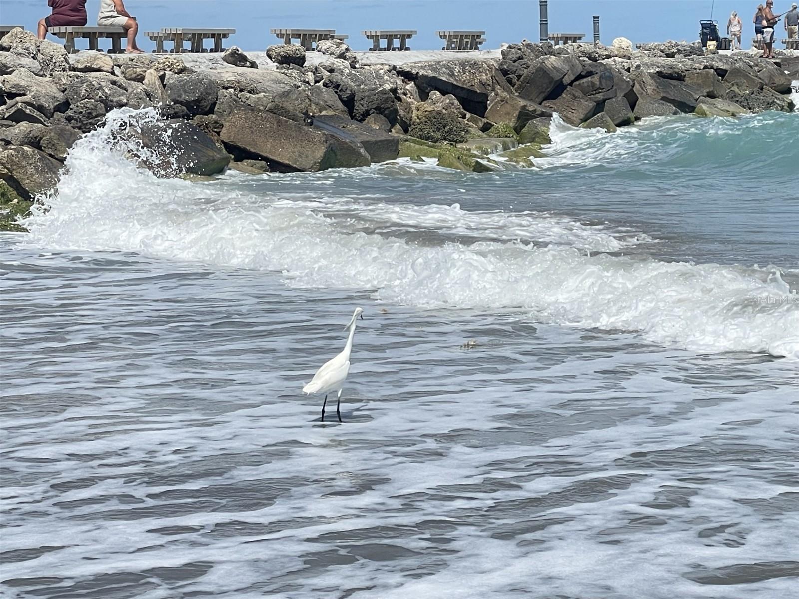 Image 38 of 52 For 107 Desota Street