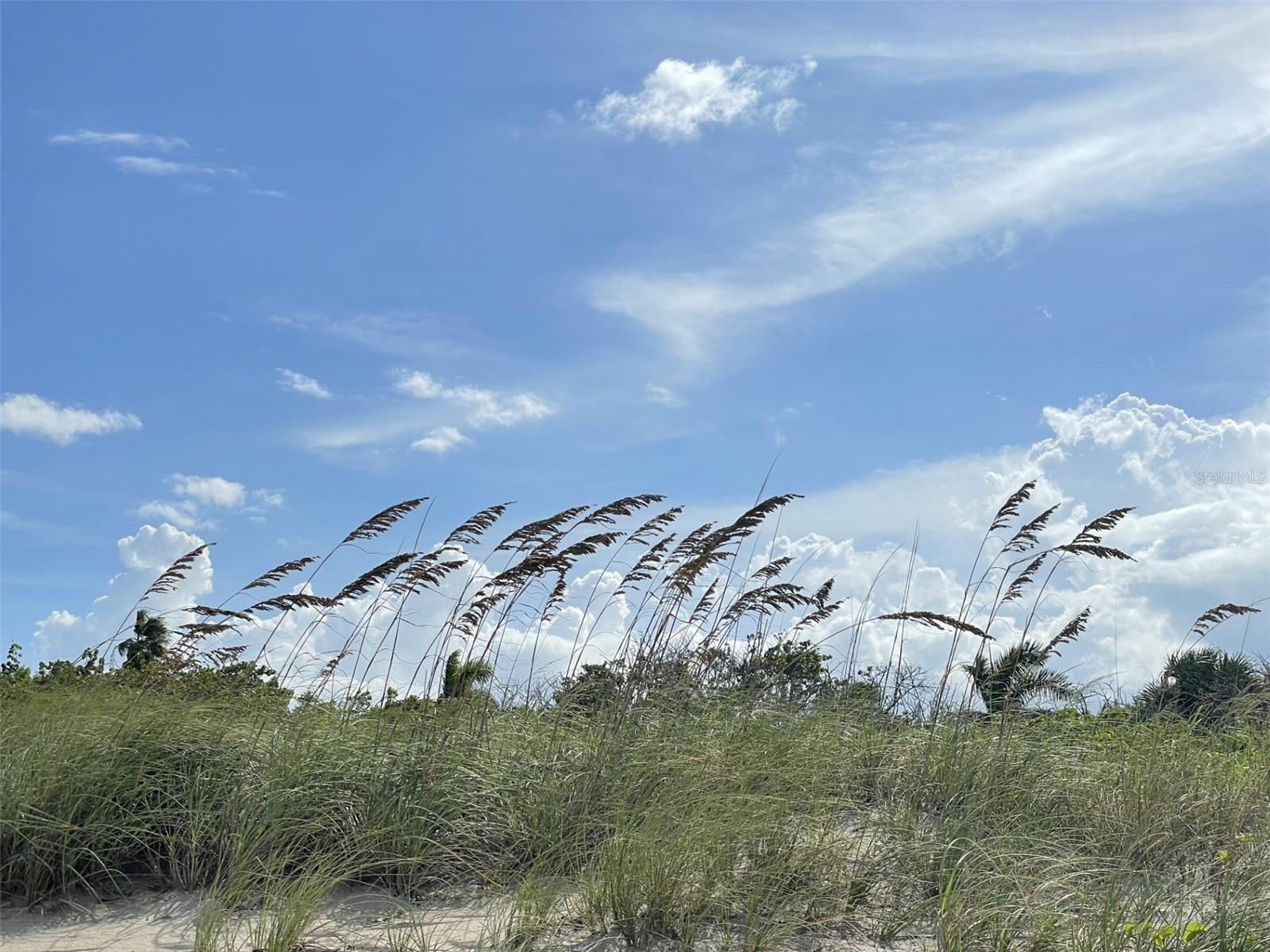 Image 39 of 52 For 107 Desota Street