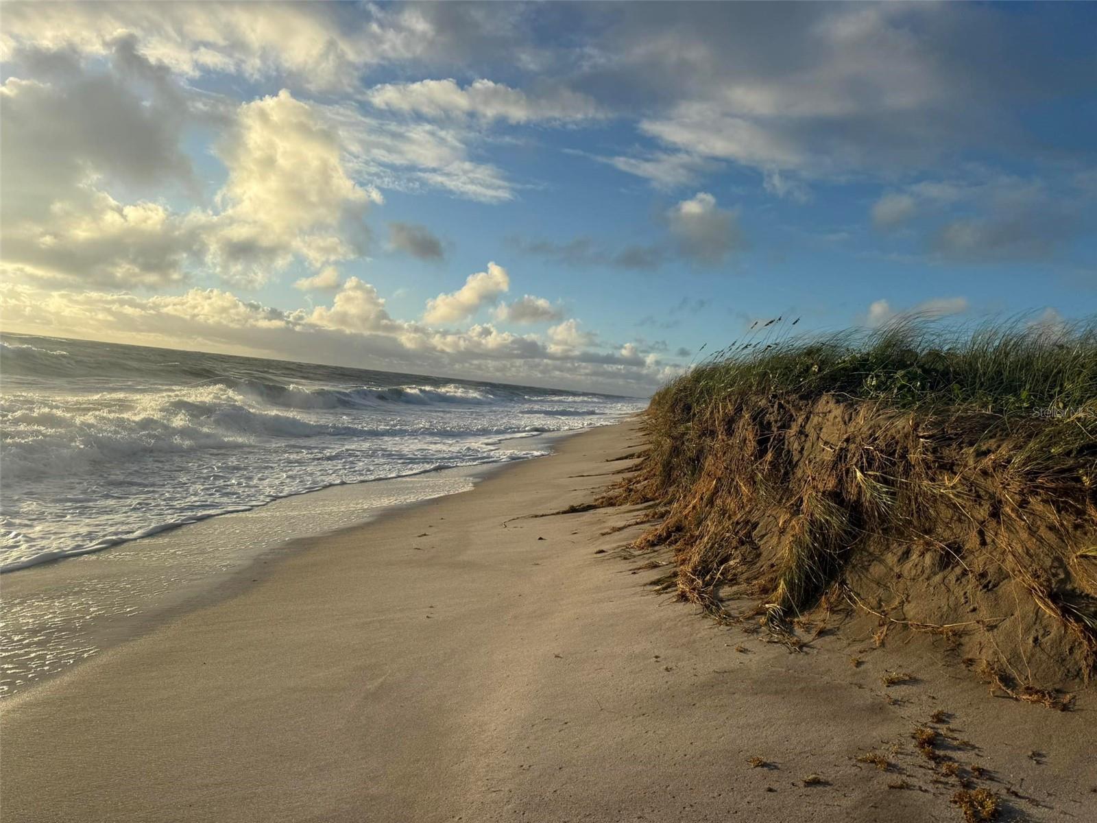 Image 40 of 52 For 107 Desota Street