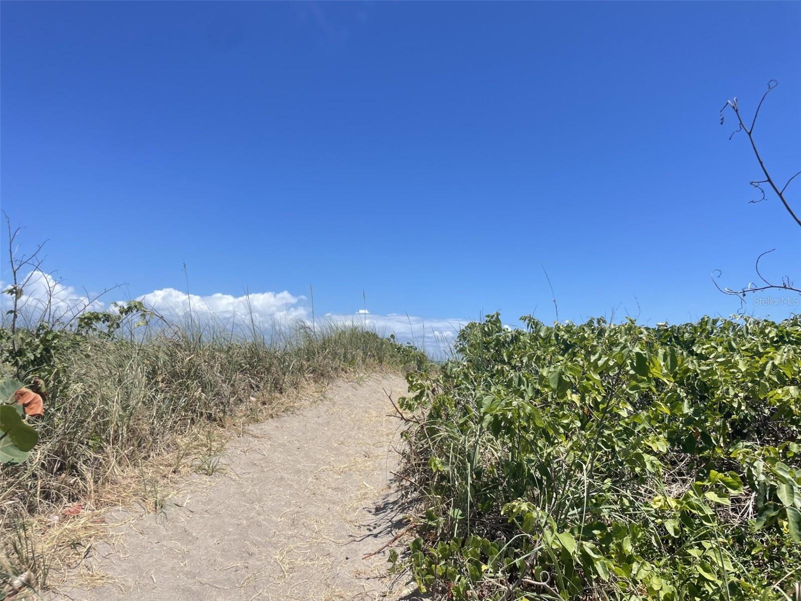 Image 42 of 52 For 107 Desota Street