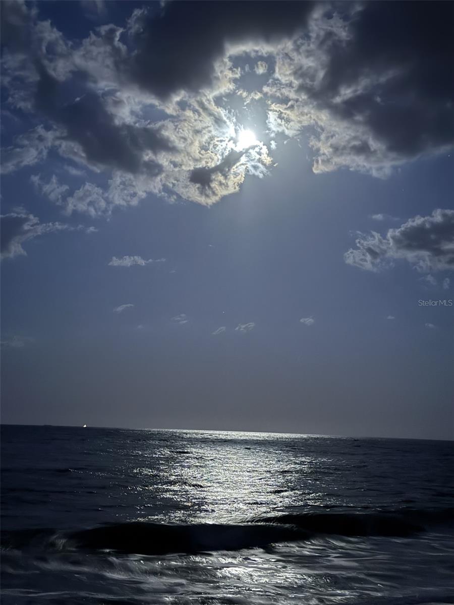 Image 44 of 52 For 107 Desota Street