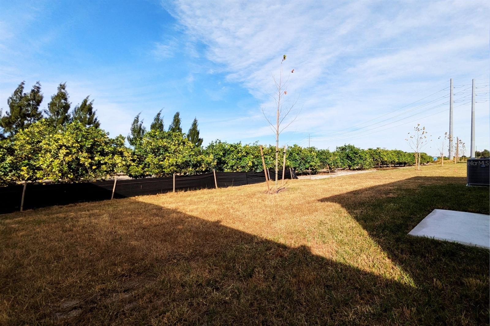 Image 23 of 24 For 2175 Chris Drive