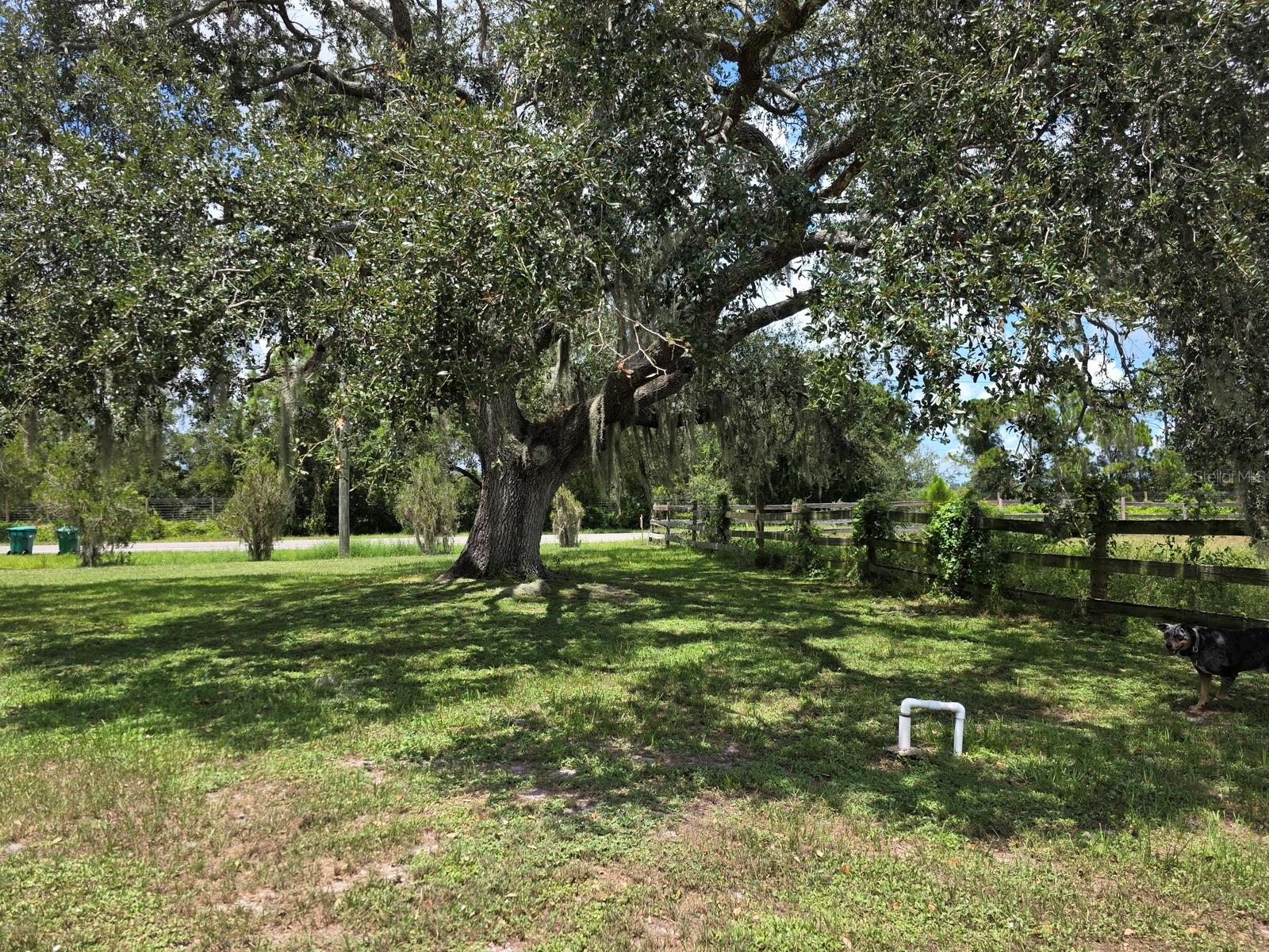 Image 38 of 39 For 1350 39th Boulevard