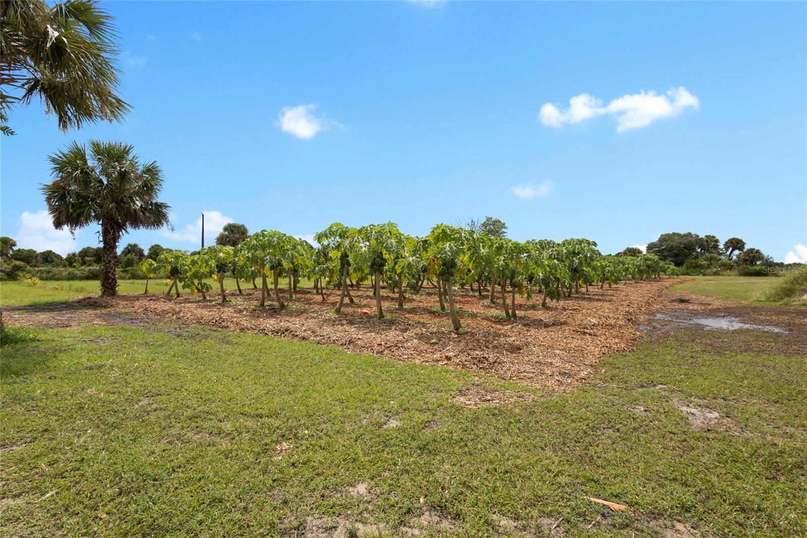 Image 30 of 48 For 20914 280th Street