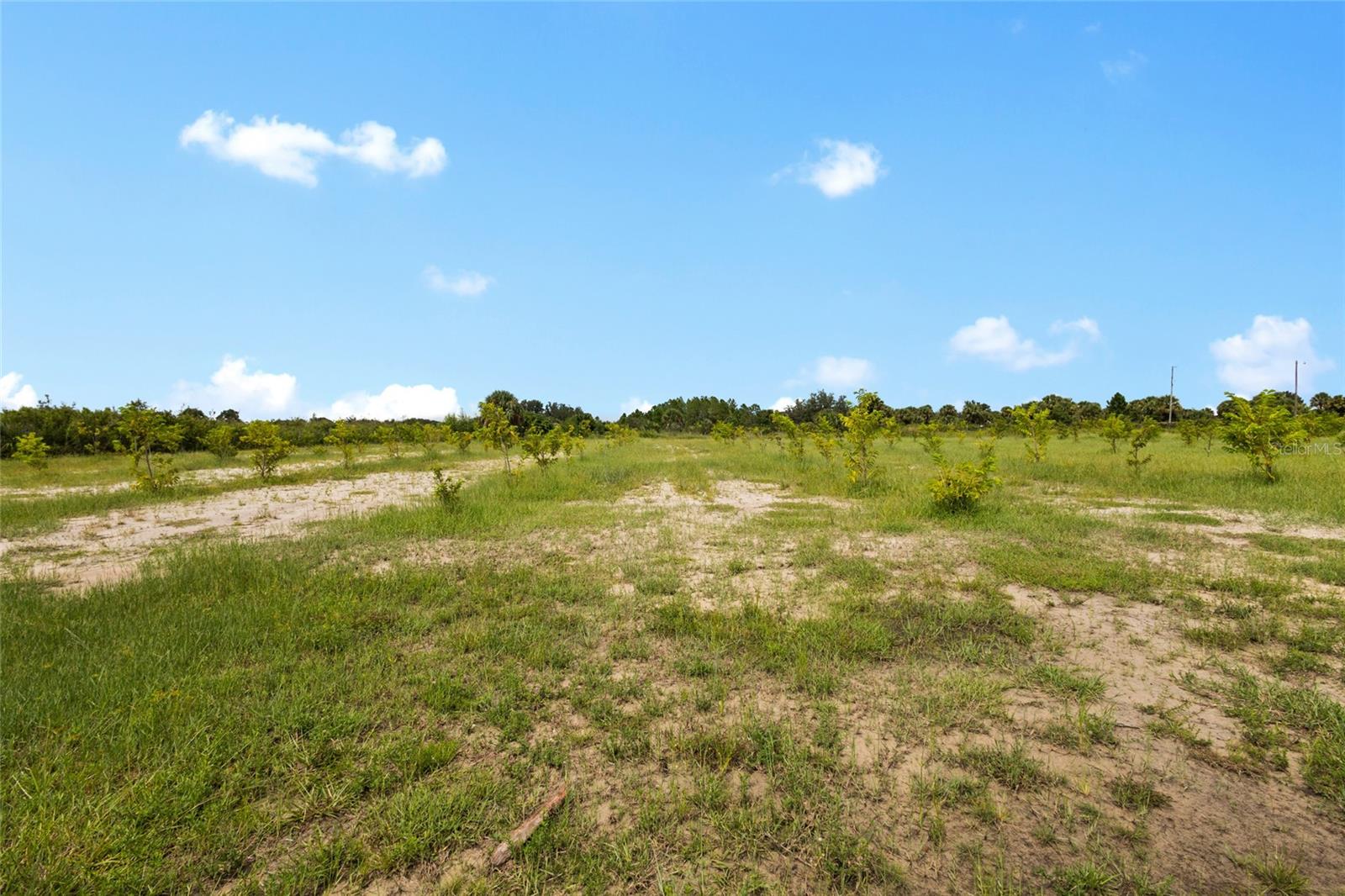 Image 38 of 48 For 20914 280th Street