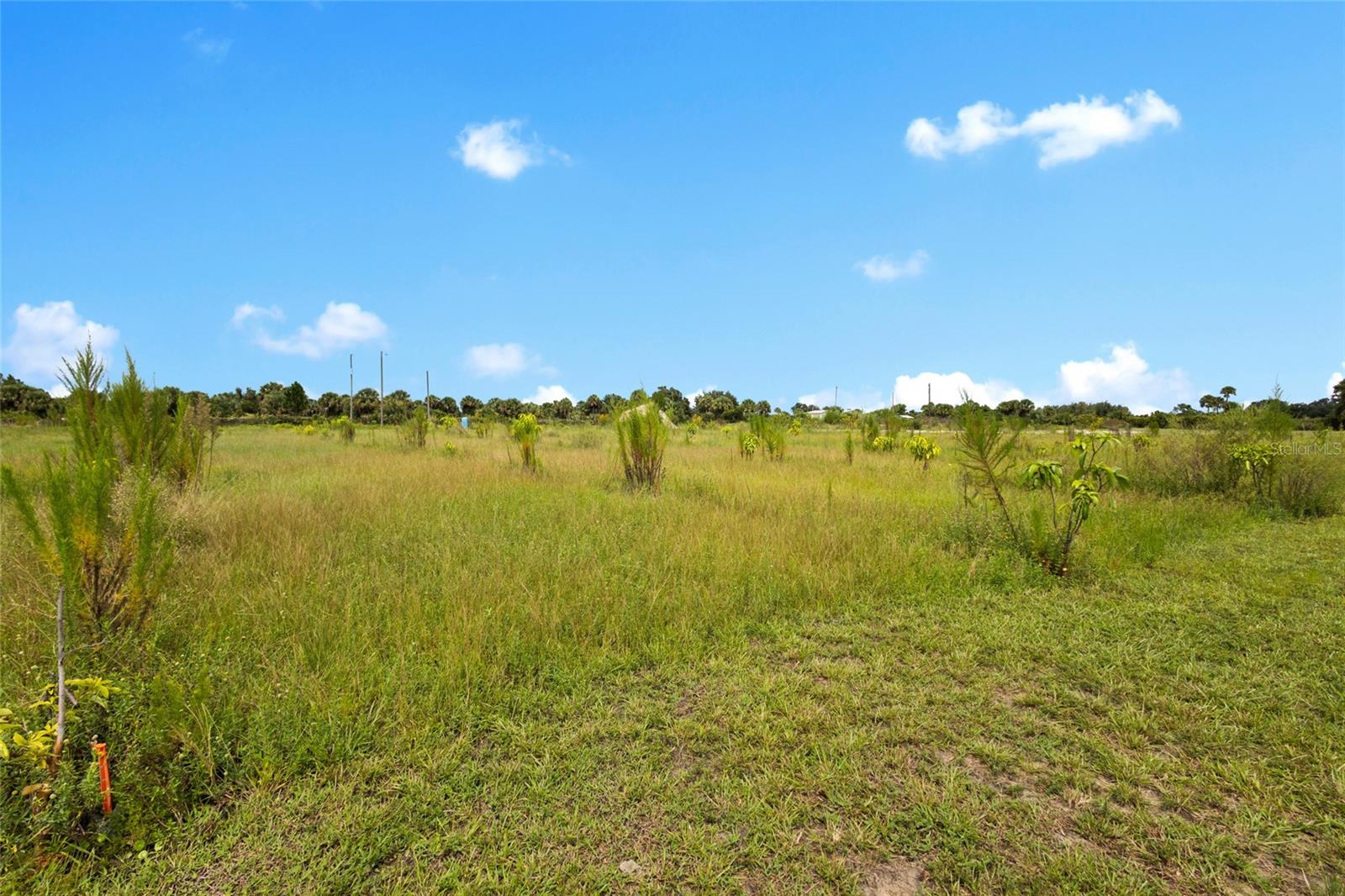 Image 42 of 48 For 20914 280th Street