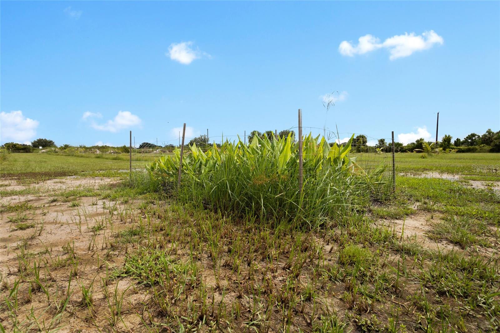Image 45 of 48 For 20914 280th Street