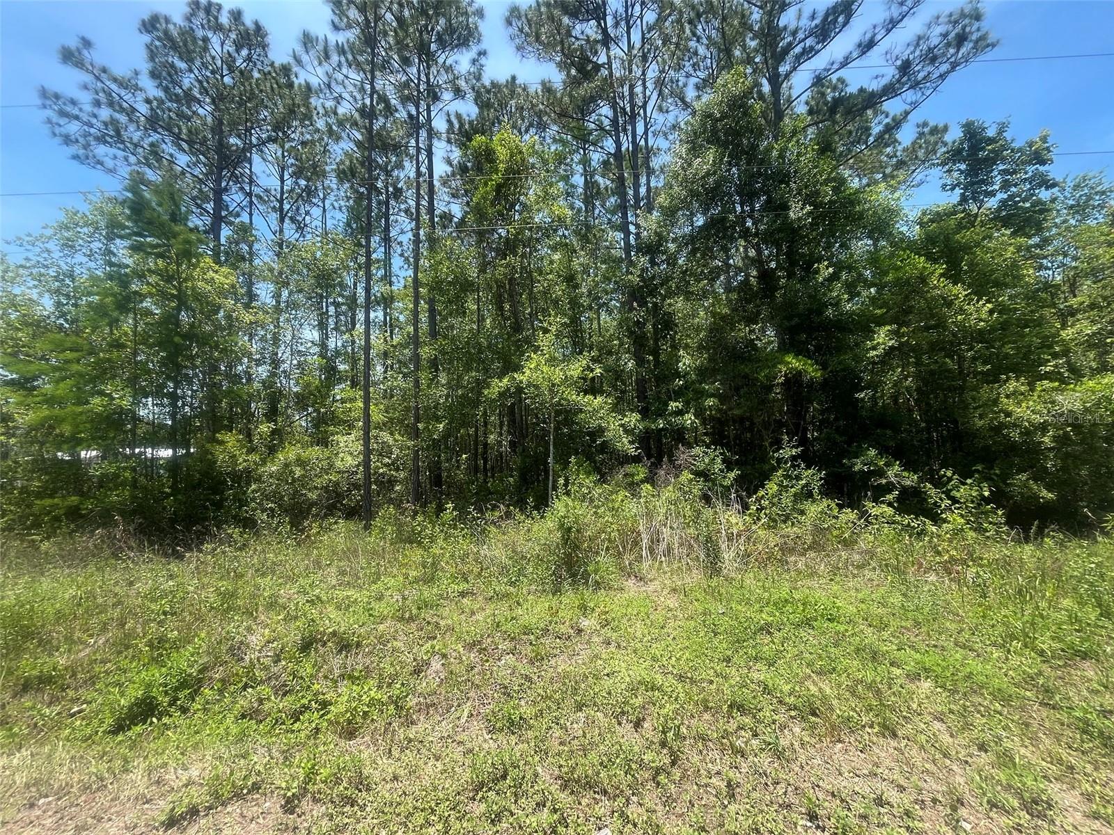 Details for 10445 Amos Avenue, HASTINGS, FL 32145