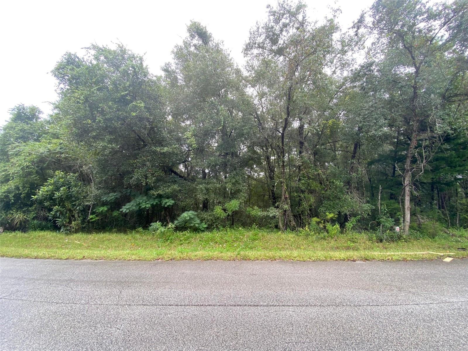 Details for 425 Elgrove Drive, CITRUS SPRINGS, FL 34434