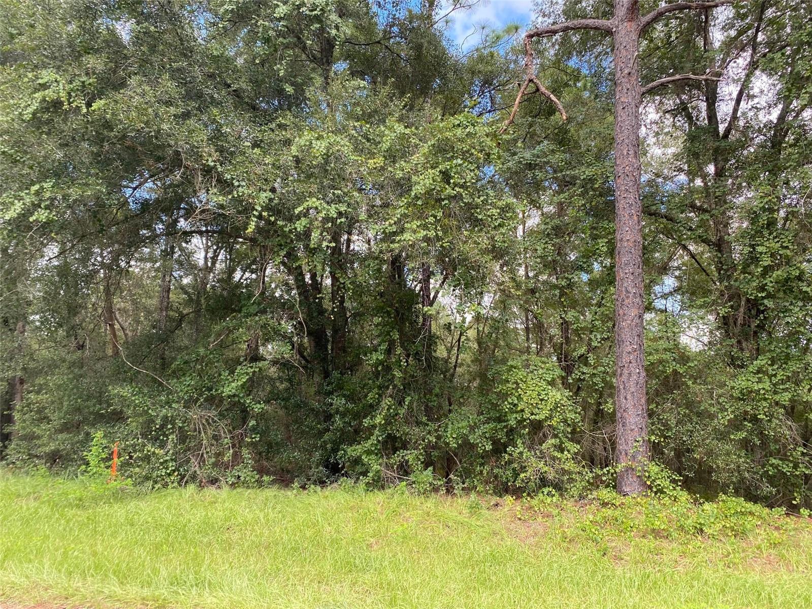 Image 11 of 19 For 425 Elgrove Drive