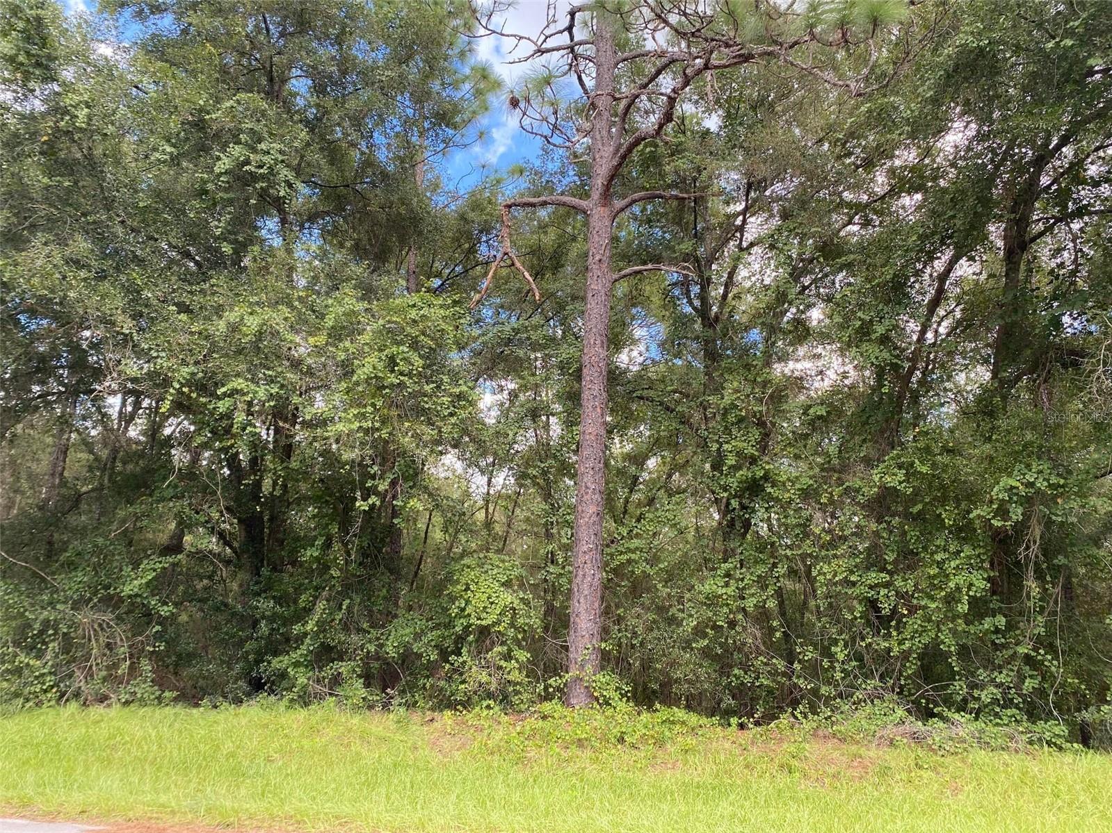 Image 12 of 19 For 425 Elgrove Drive