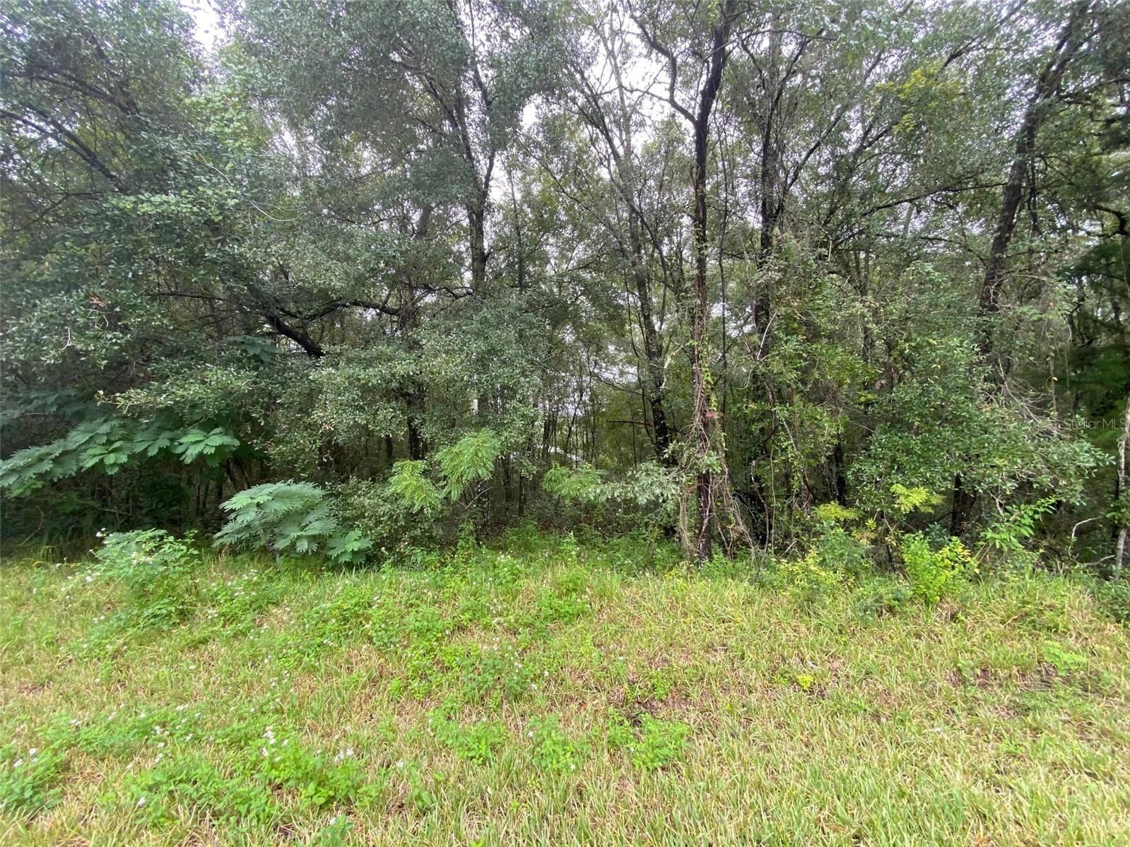 Image 13 of 19 For 425 Elgrove Drive