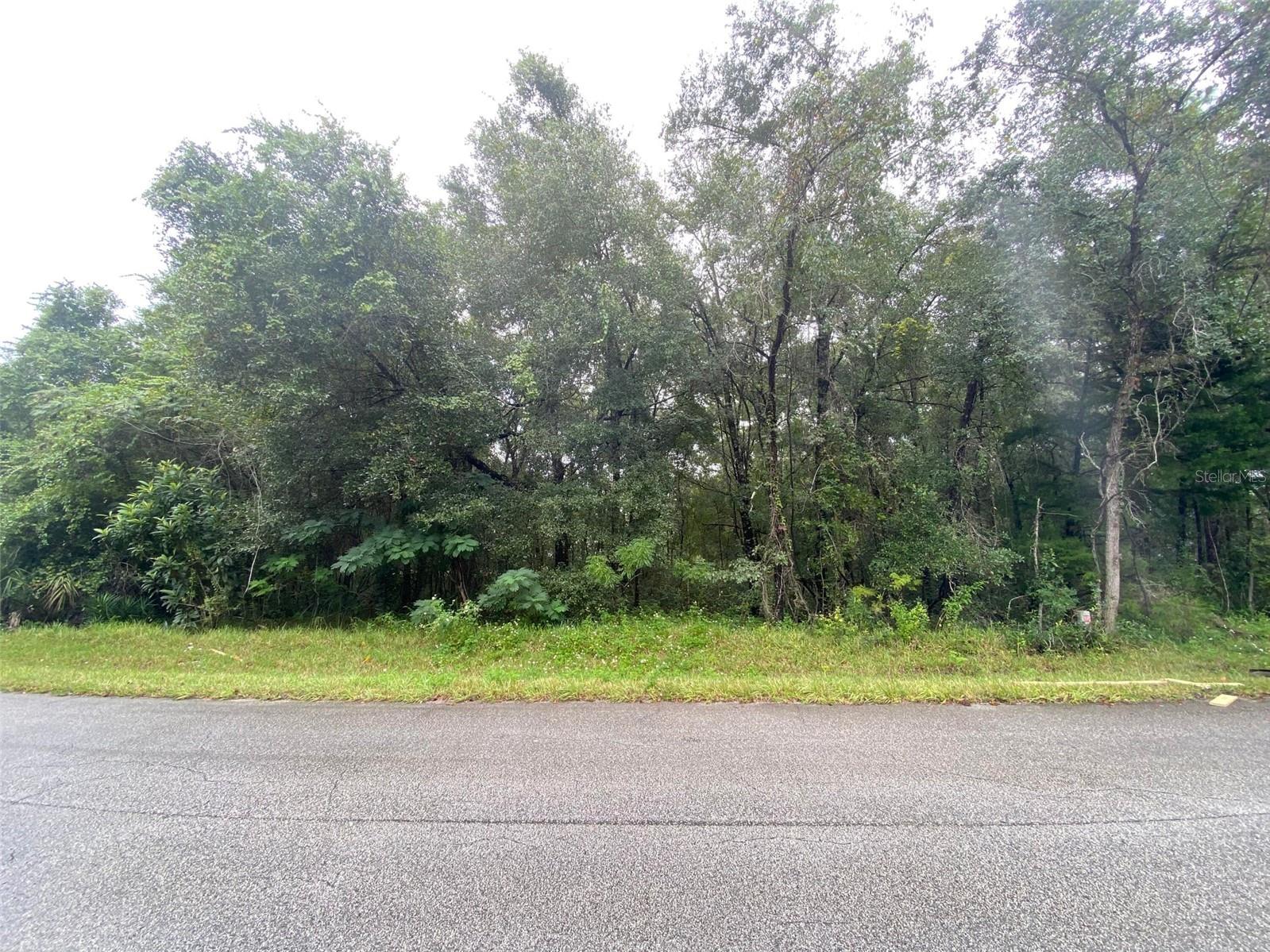 Image 14 of 19 For 425 Elgrove Drive