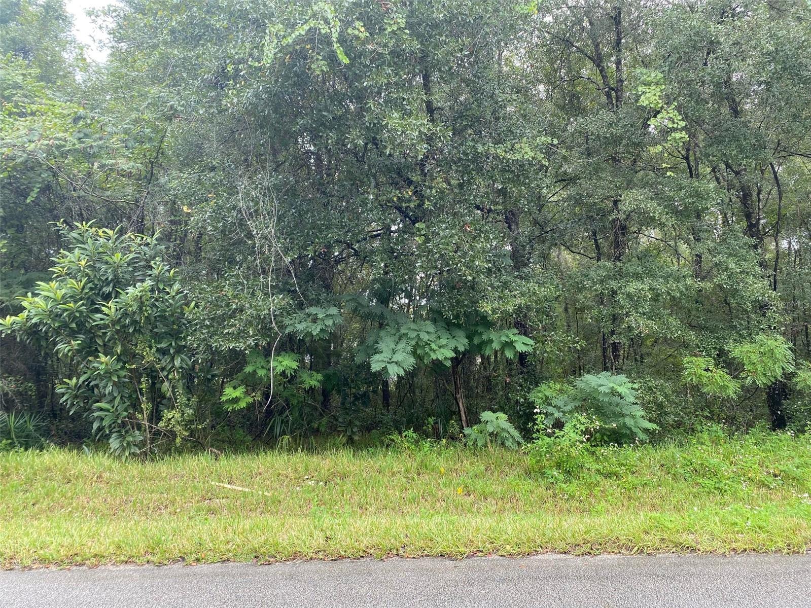 Image 15 of 19 For 425 Elgrove Drive