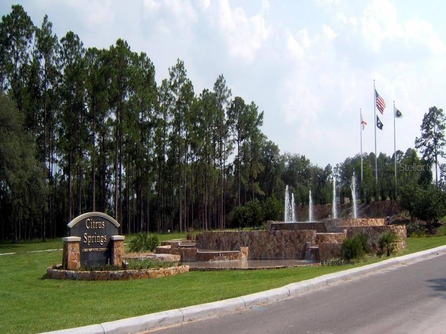 Image 16 of 19 For 425 Elgrove Drive