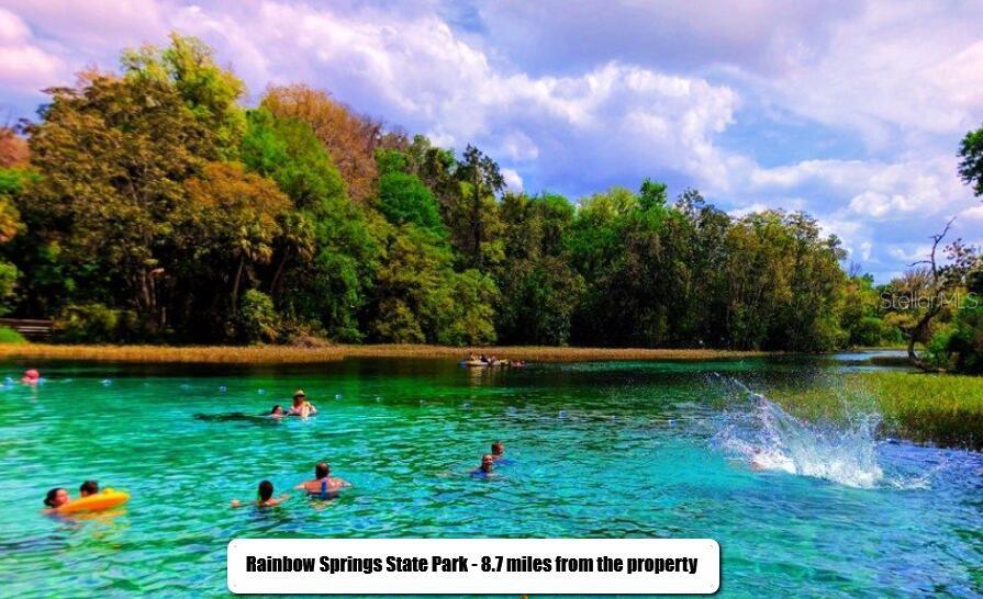 Image 19 of 19 For 425 Elgrove Drive