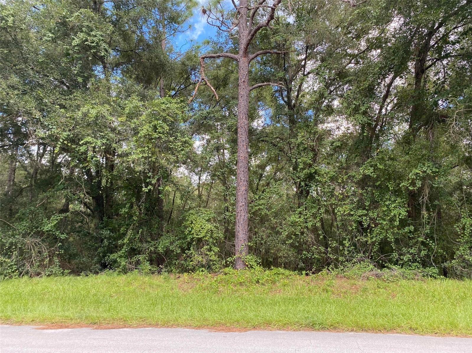 Image 2 of 19 For 425 Elgrove Drive