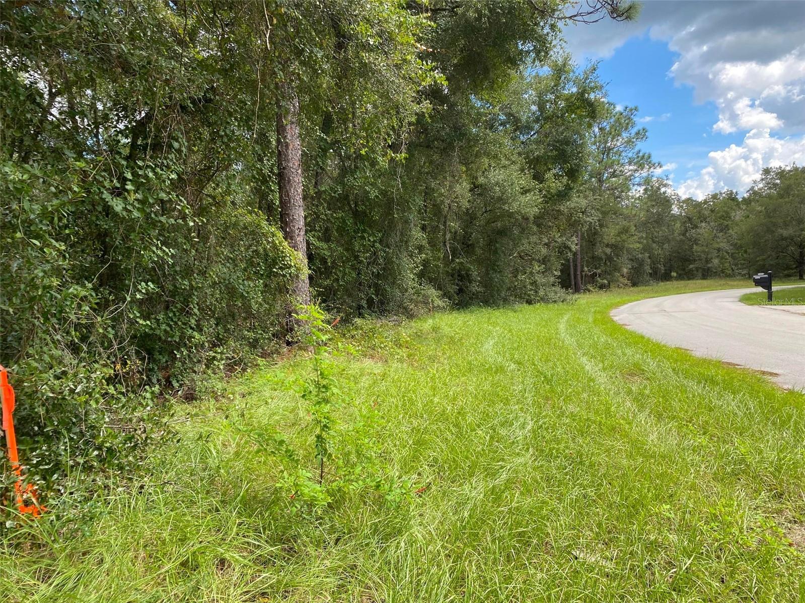 Image 6 of 19 For 425 Elgrove Drive