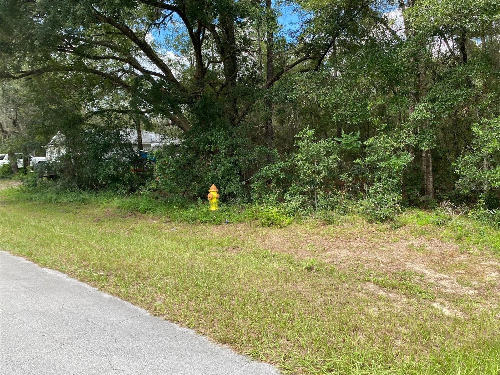 Image 8 of 19 For 425 Elgrove Drive