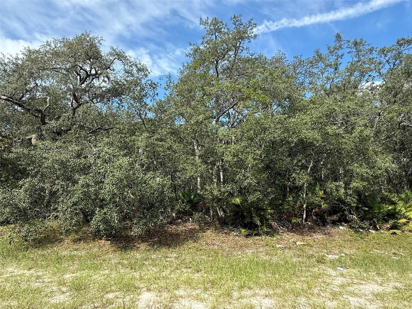 Image 11 of 23 For Tbd 146th Lane Road