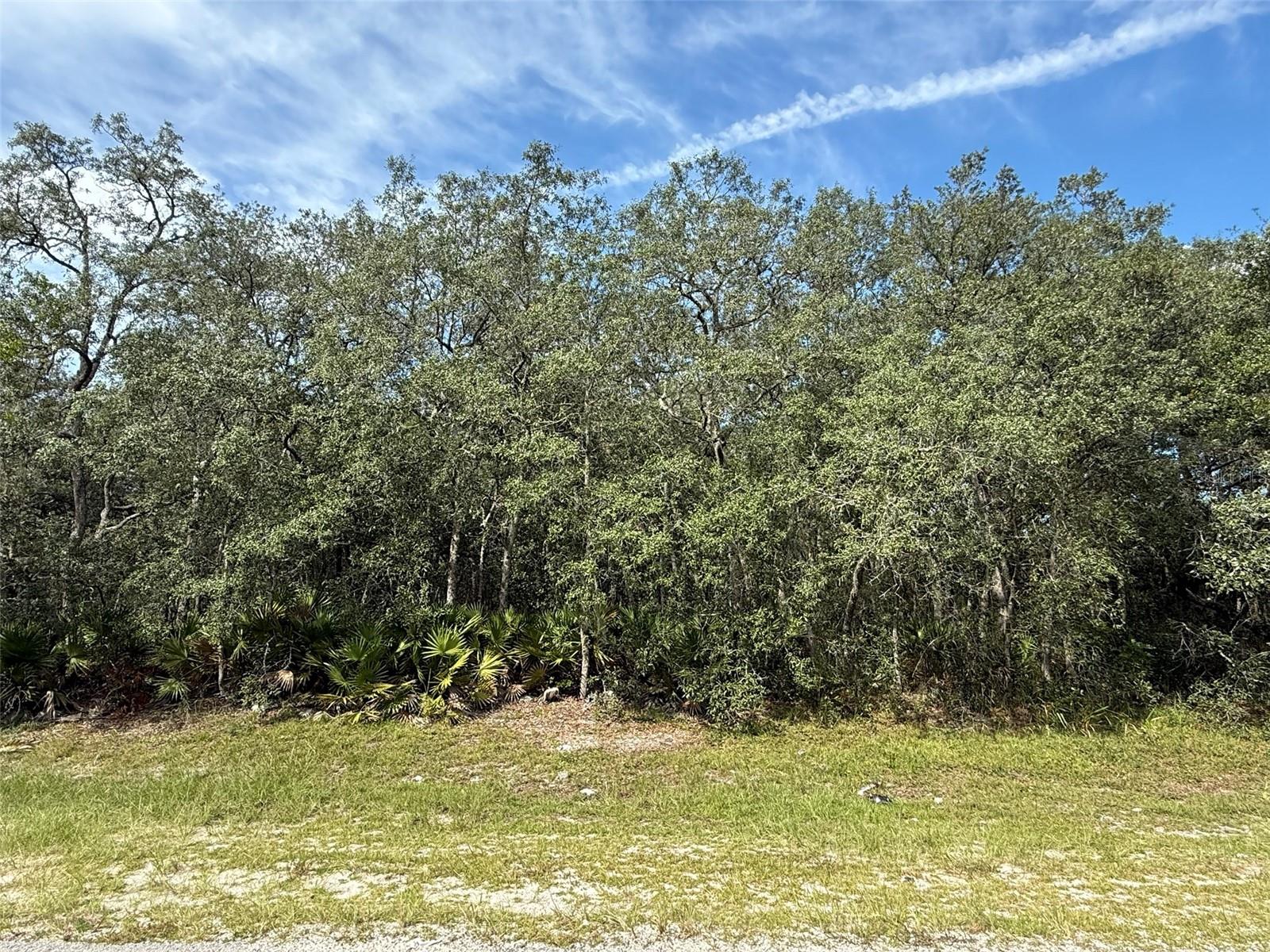 Image 14 of 23 For Tbd 146th Lane Road