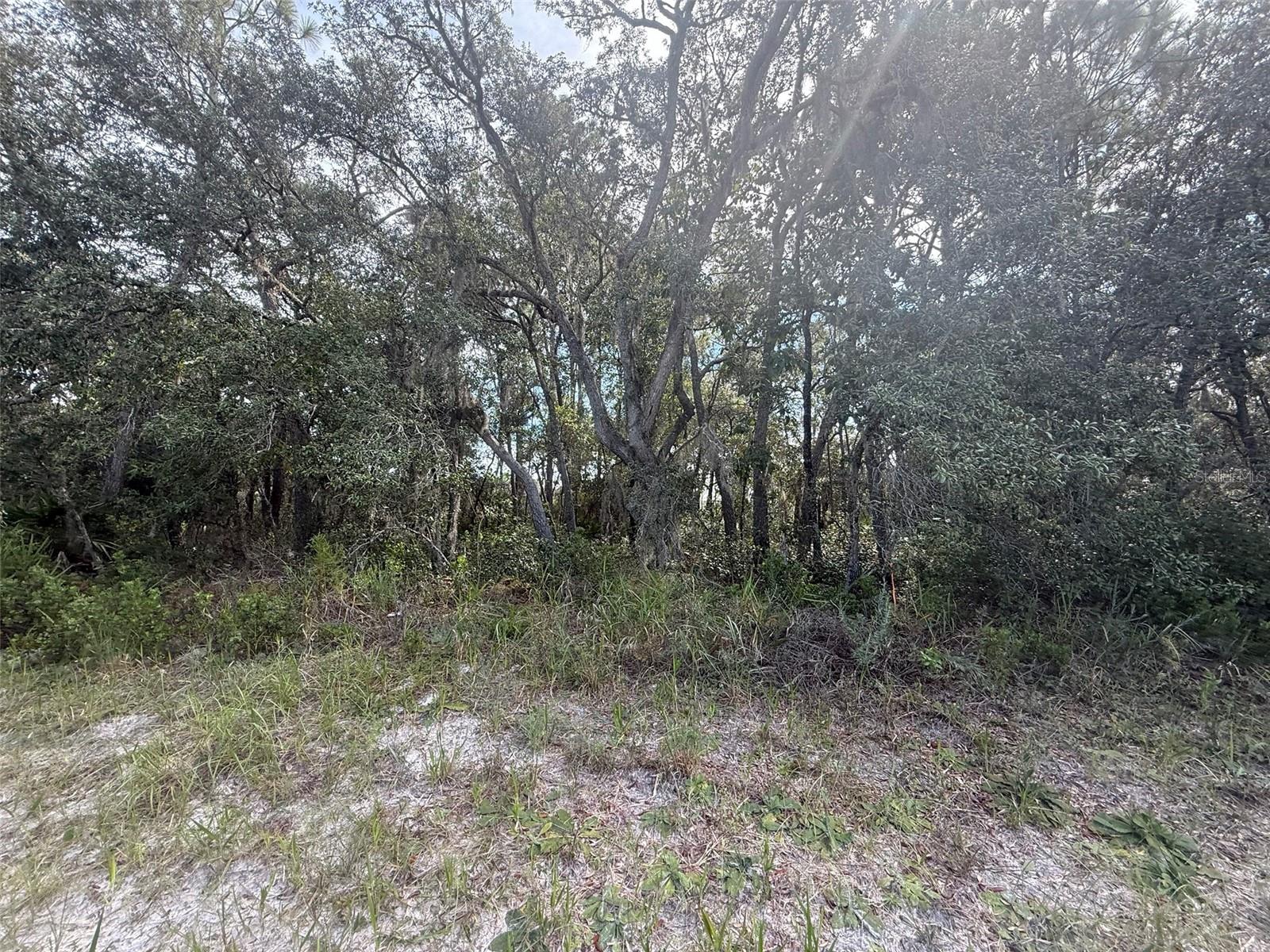 Image 16 of 23 For Tbd 146th Lane Road