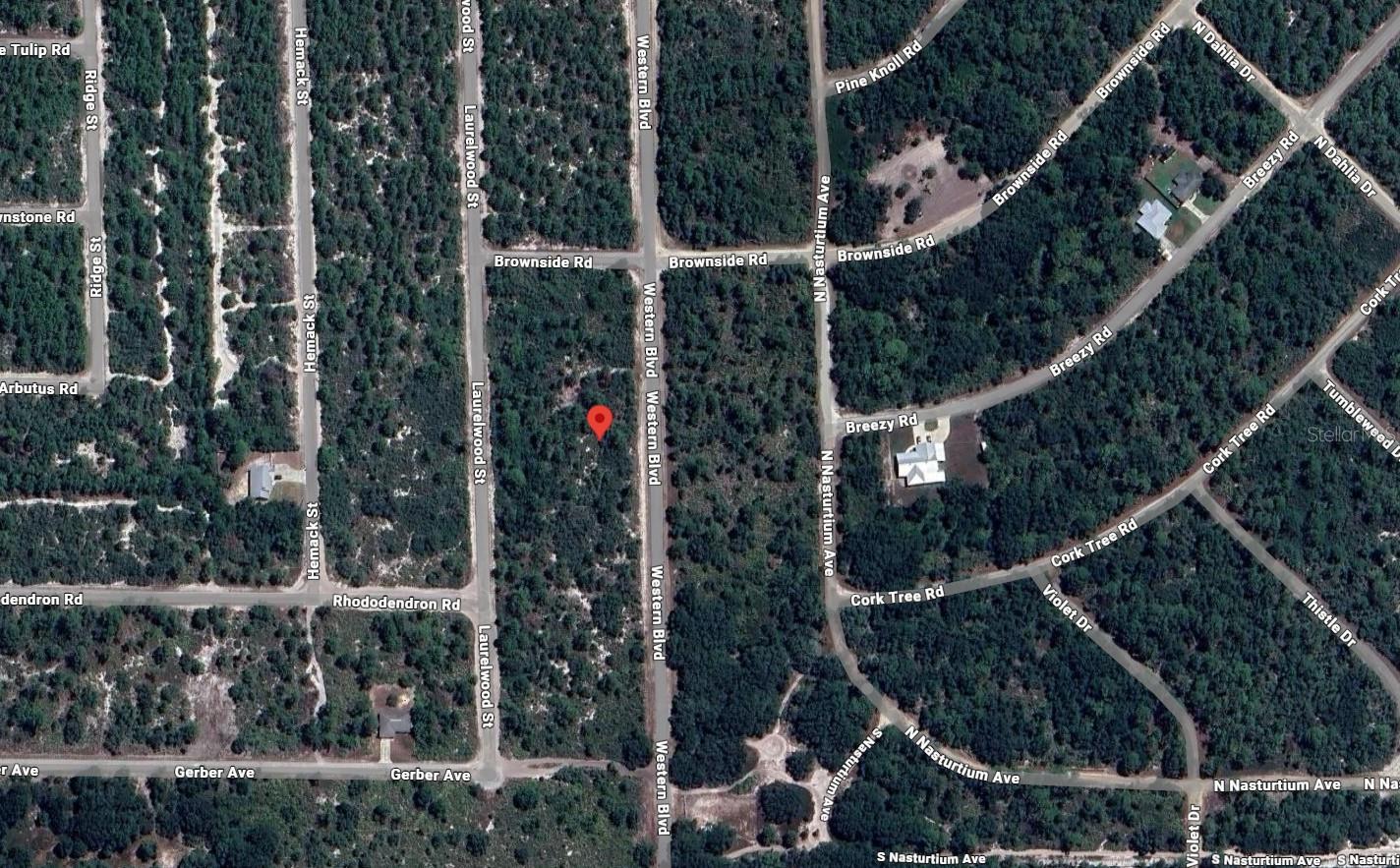 Image 3 of 3 For 920 Western Boulevard