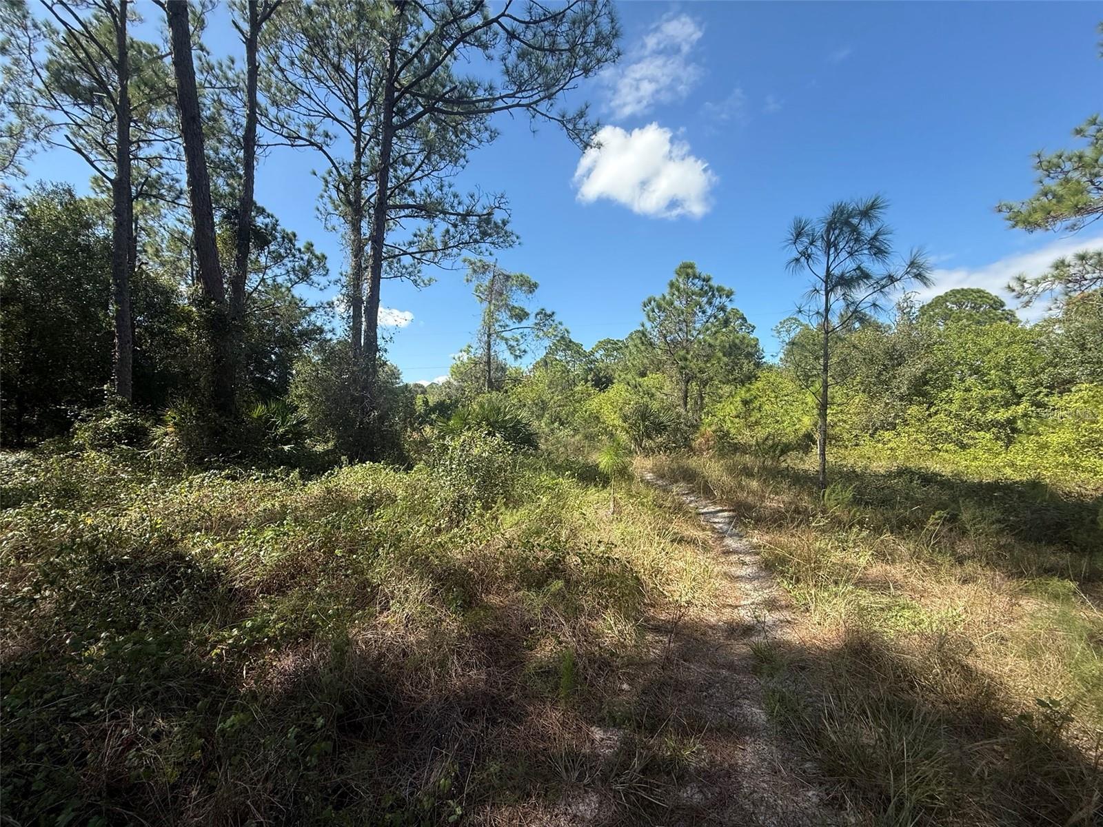 Image 10 of 15 For 1752 Riviera Avenue