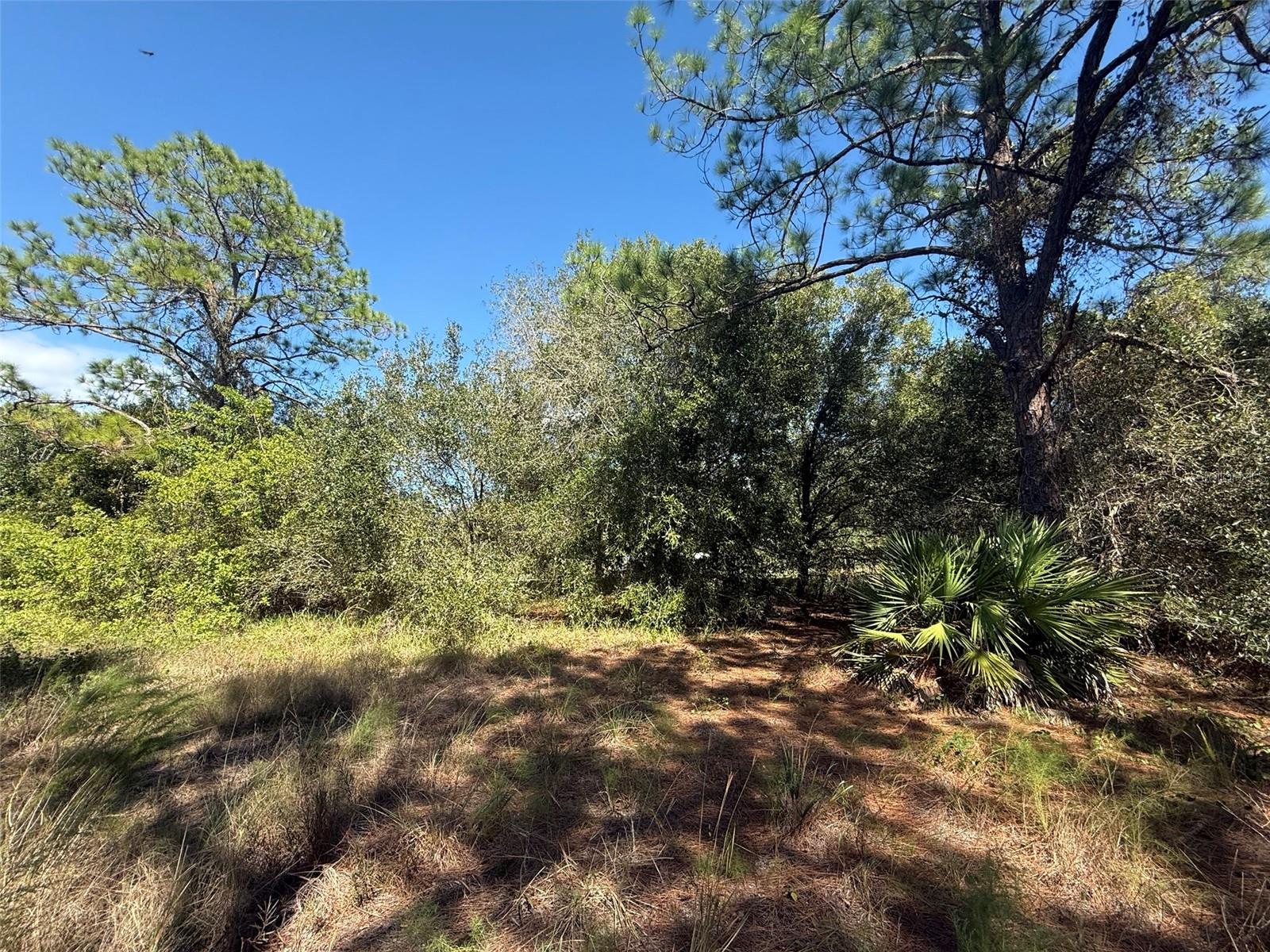 Image 11 of 15 For 1752 Riviera Avenue