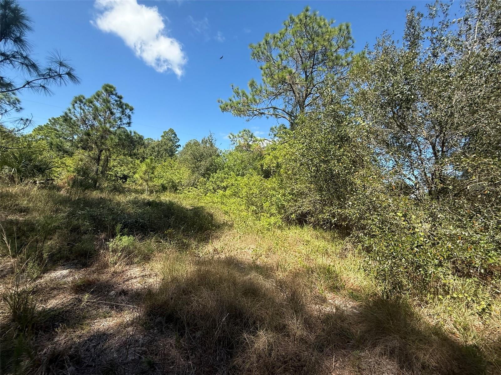 Image 12 of 15 For 1752 Riviera Avenue