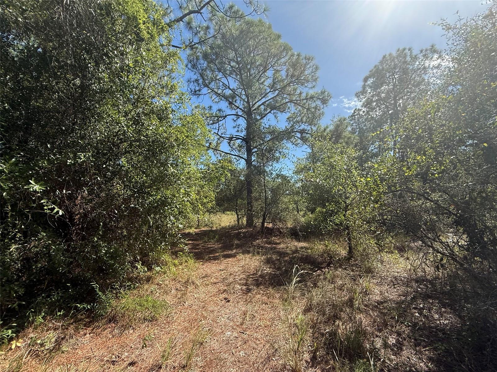 Image 3 of 15 For 1752 Riviera Avenue