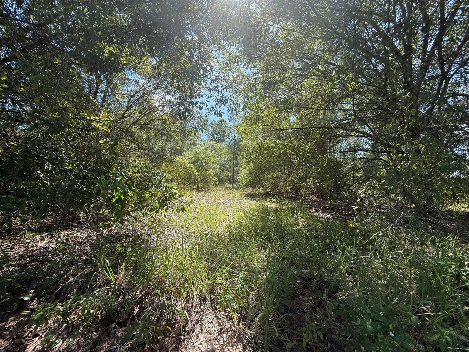 Image 4 of 15 For 1752 Riviera Avenue