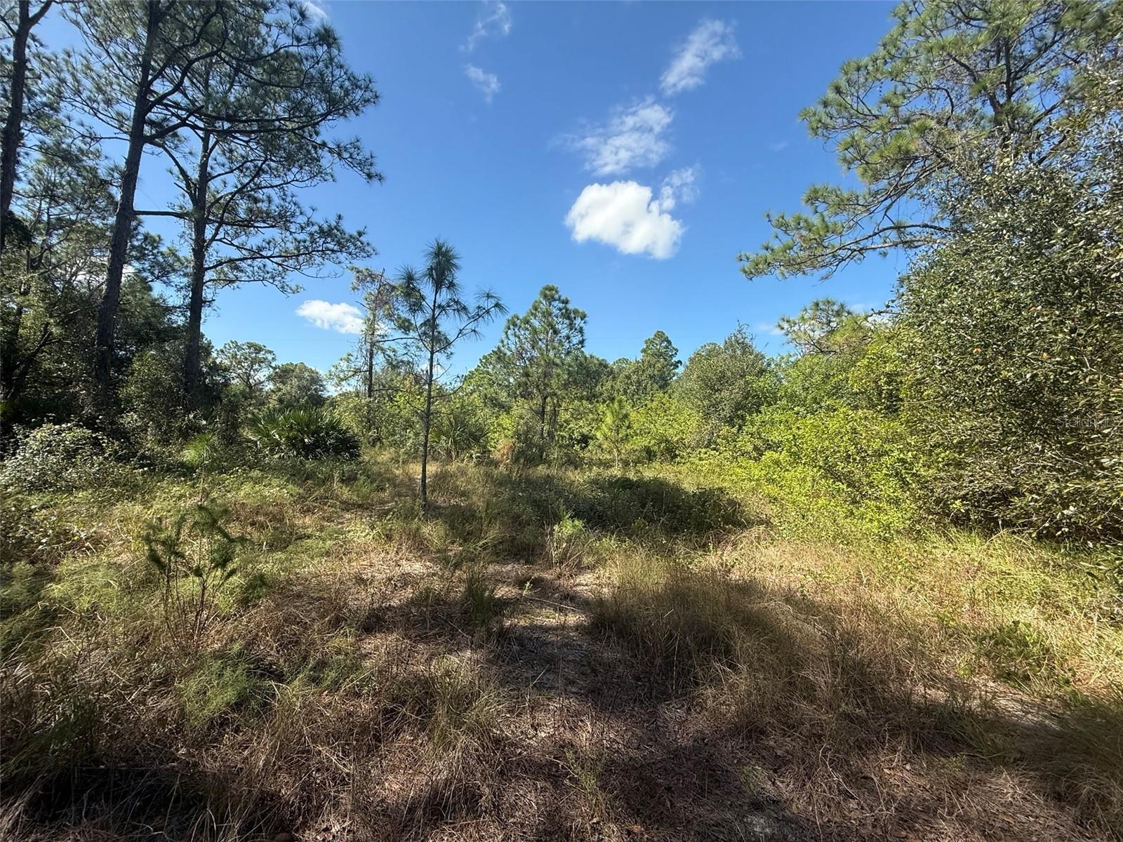 Image 5 of 15 For 1752 Riviera Avenue