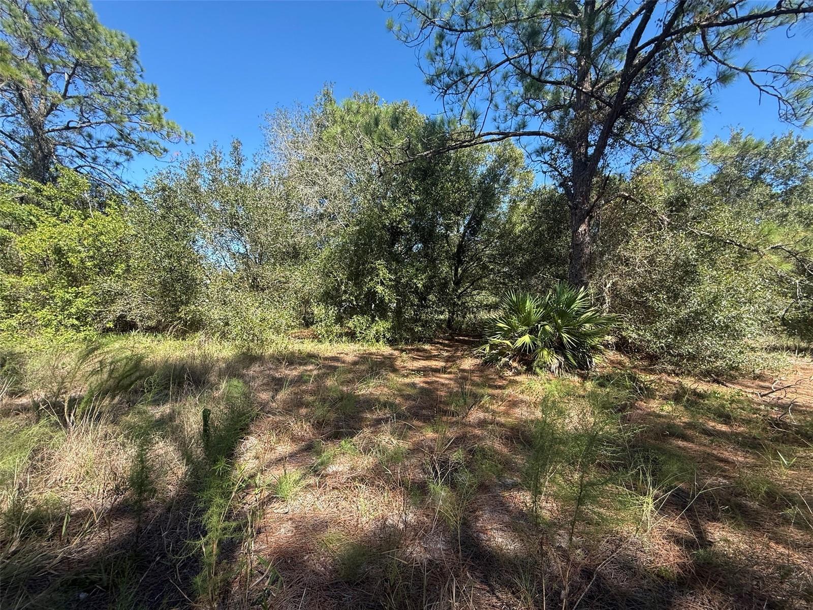 Image 6 of 15 For 1752 Riviera Avenue