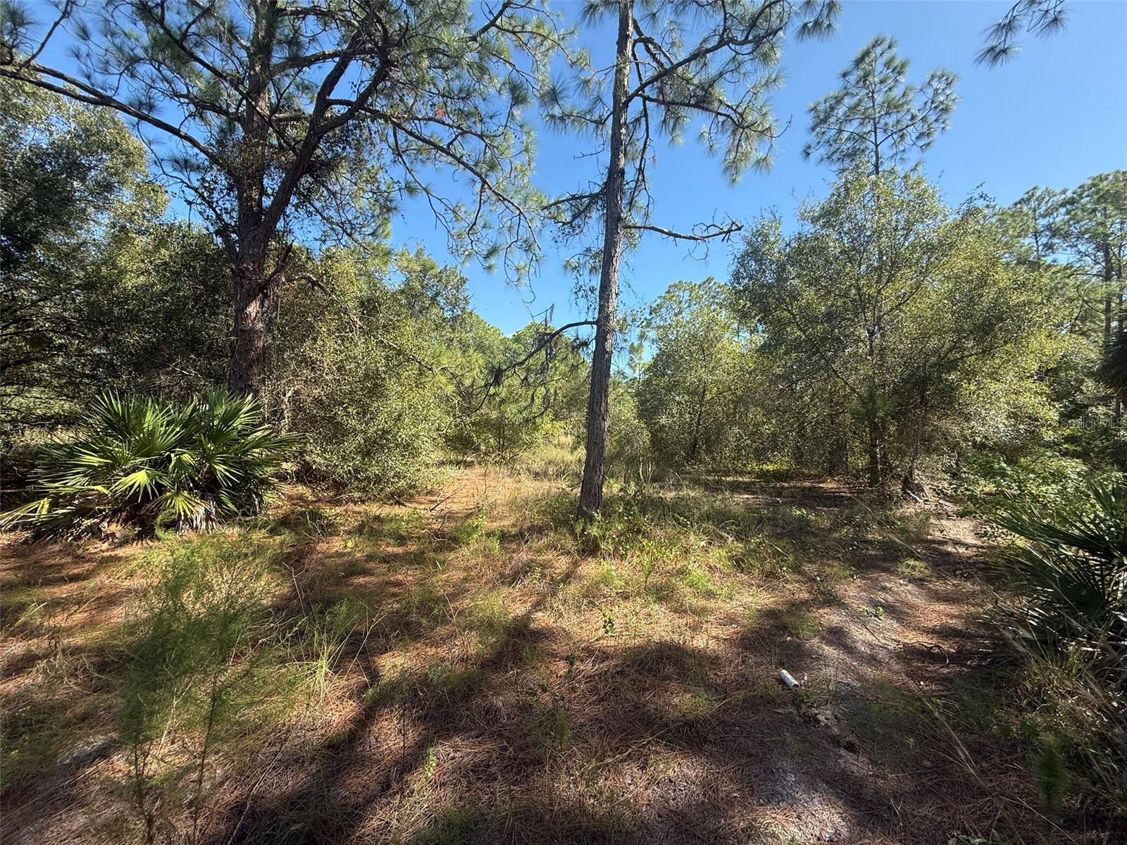 Image 7 of 15 For 1752 Riviera Avenue