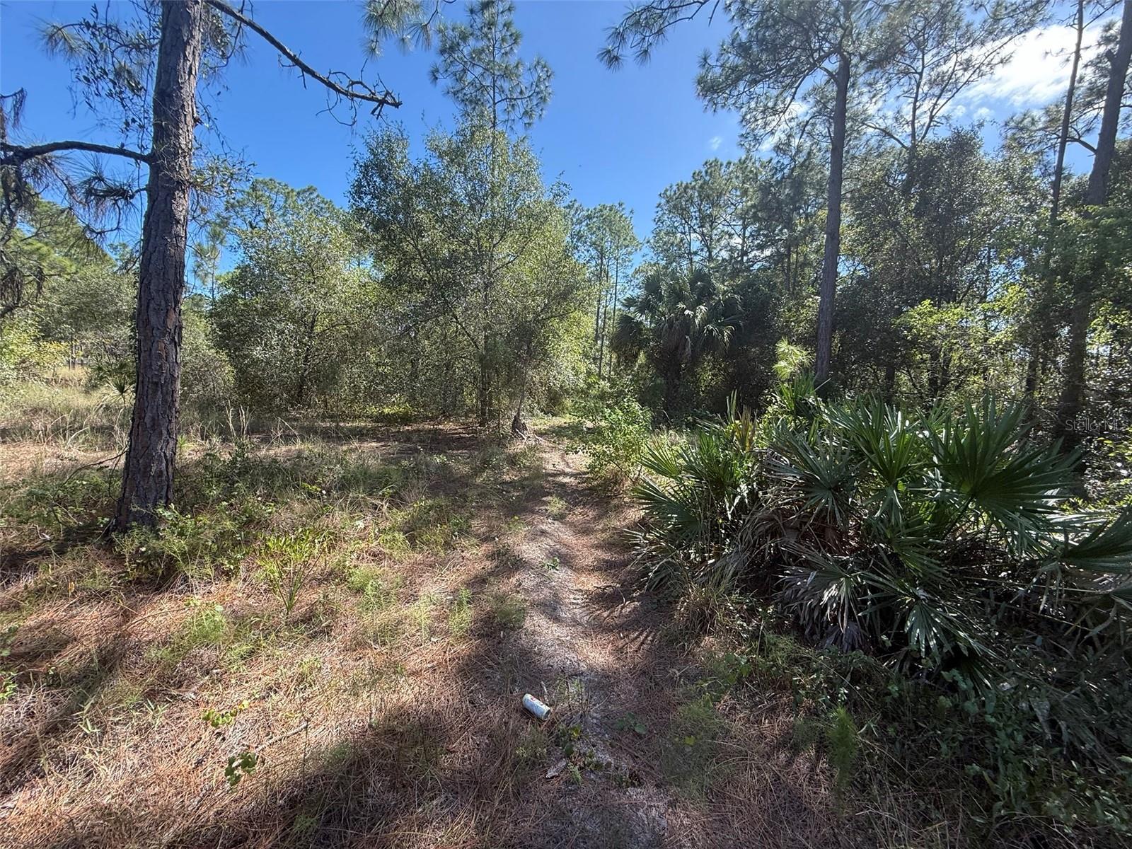 Image 8 of 15 For 1752 Riviera Avenue