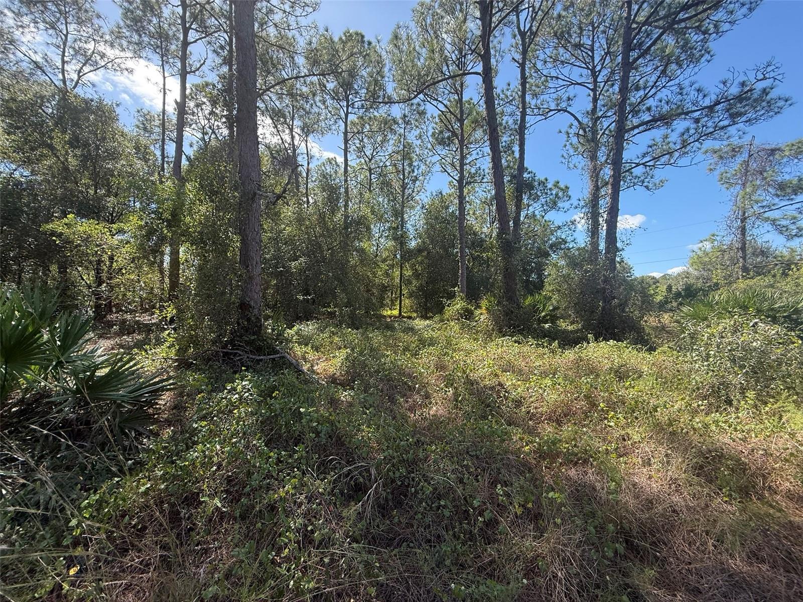 Image 9 of 15 For 1752 Riviera Avenue