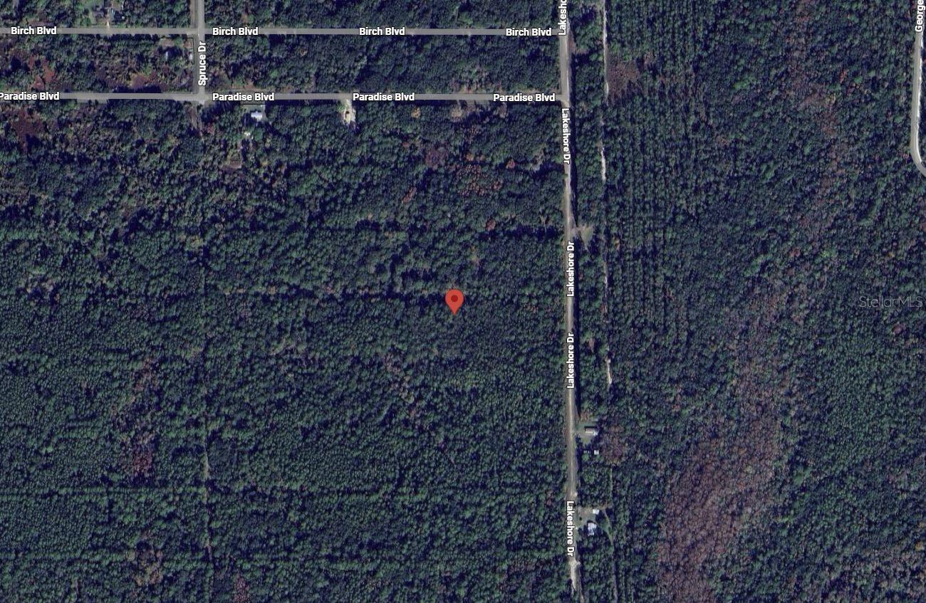 Listing Details for 329 Chipola Drive, GEORGETOWN, FL 32139