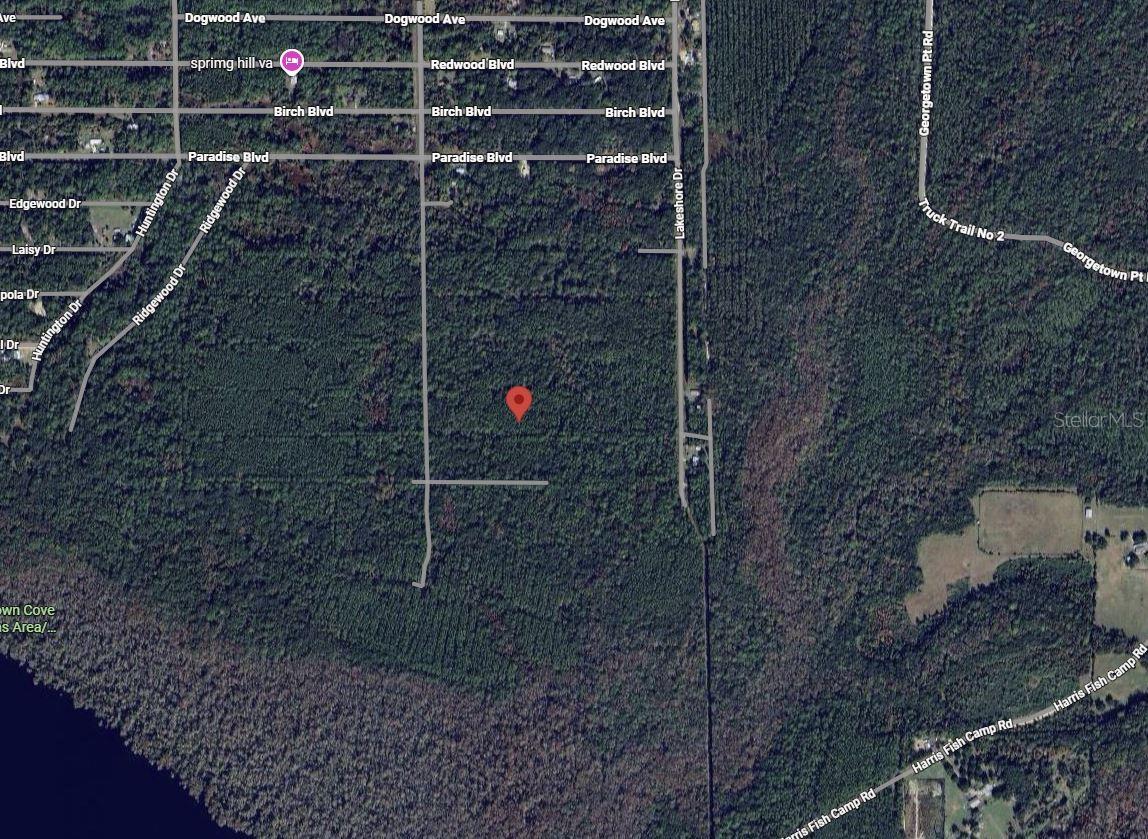 Listing Details for 214 Garrison Avenue, GEORGETOWN, FL 32139