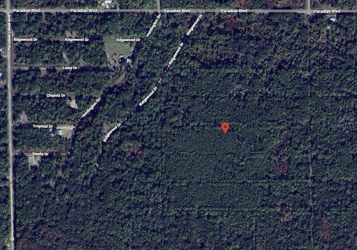 Details for 317 Tropical Drive, GEORGETOWN, FL 32139